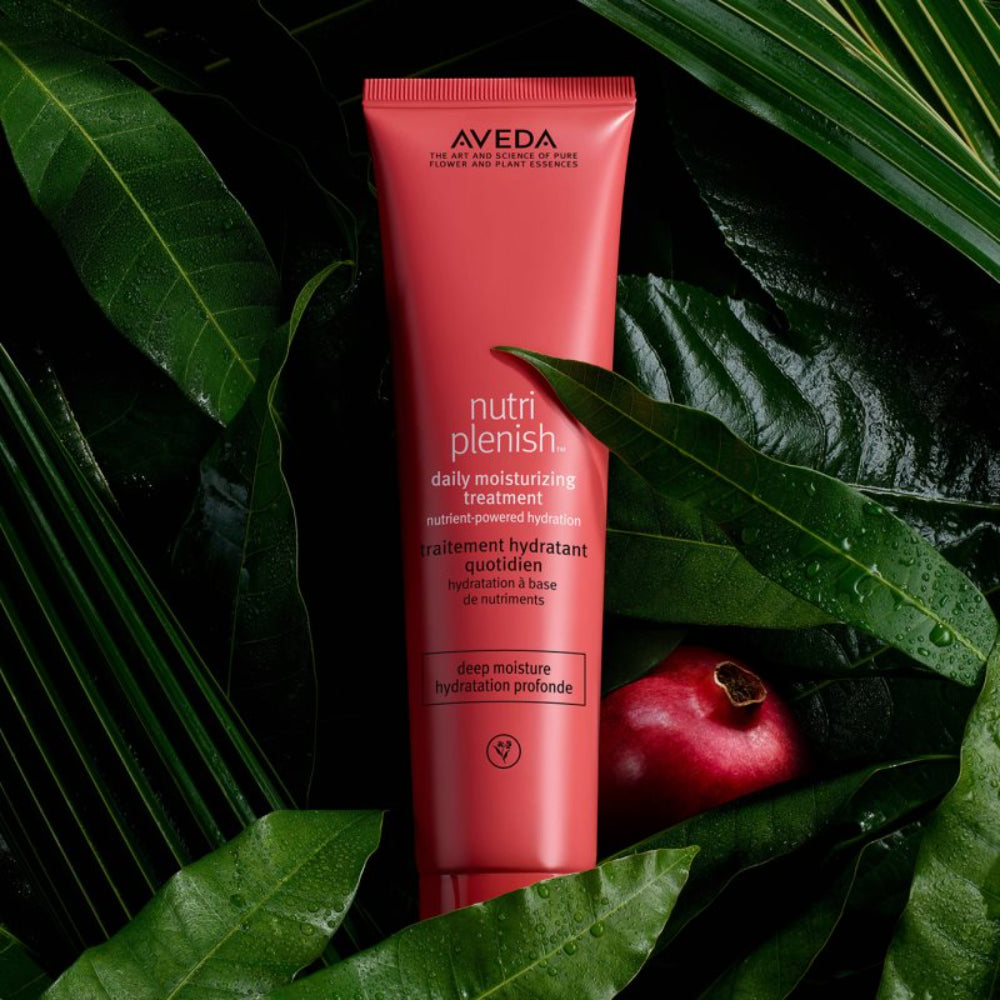 Aveda NutriPlenish Daily Moisturizing Treatment