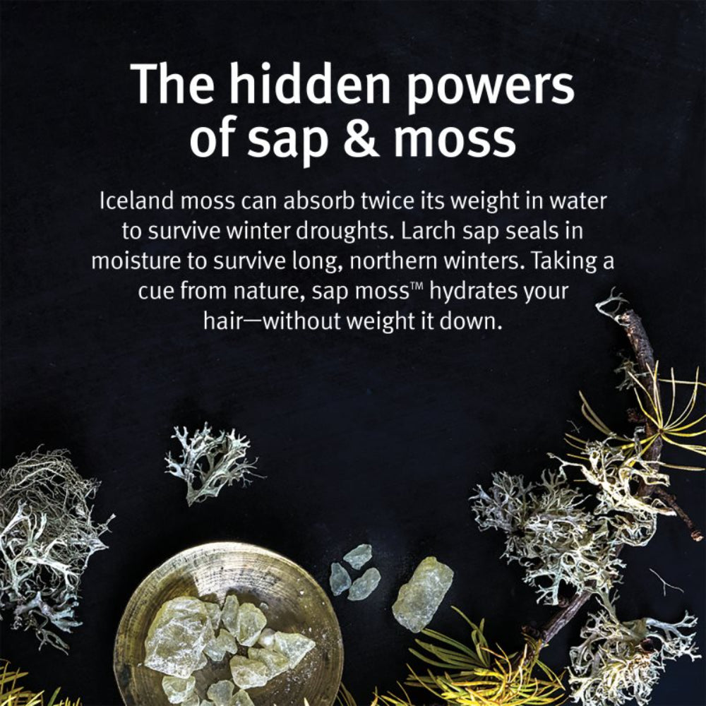 Aveda Sap Moss Weightless Hydration Conditioner