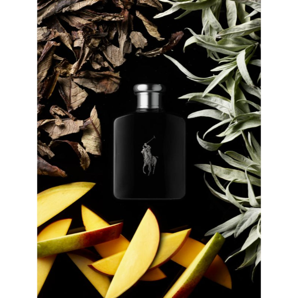 Ralph Lauren Polo Black Edt Spray