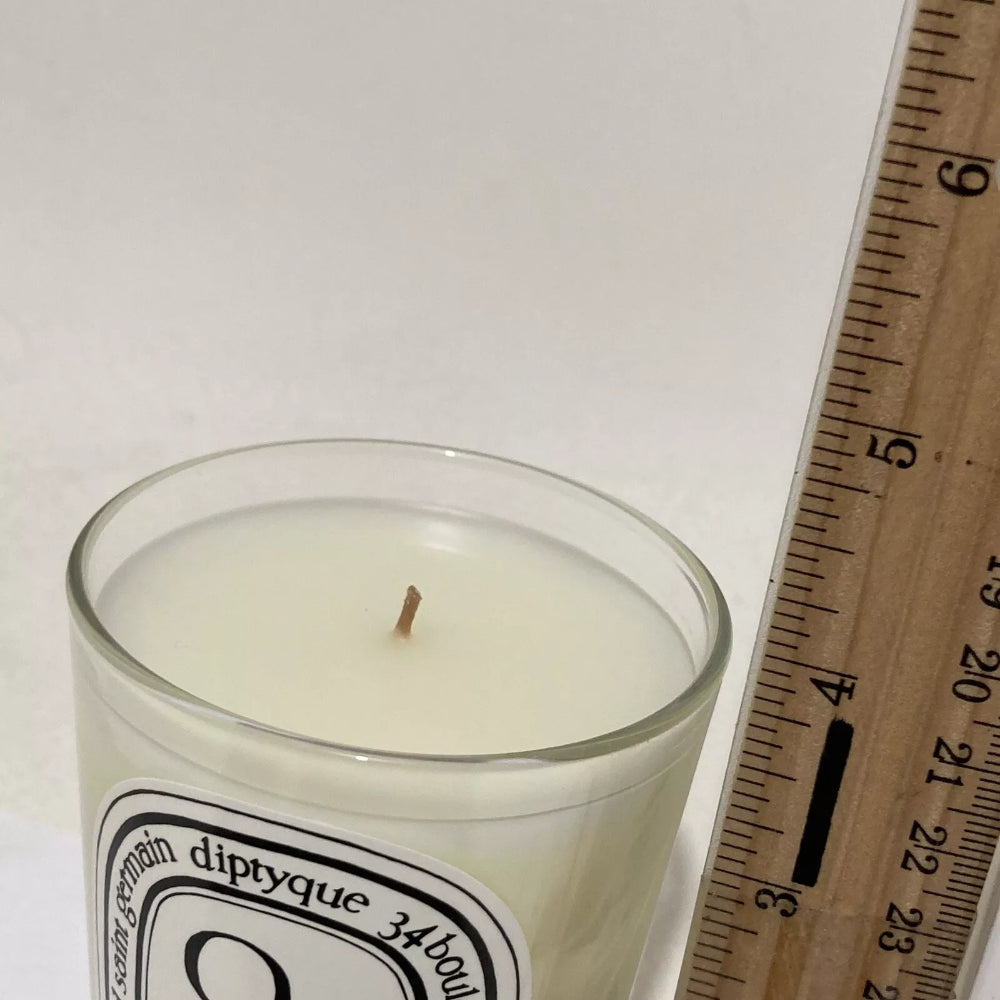 Diptyque Oud Scented Candle